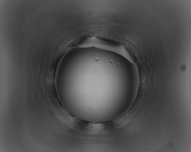 X0000091730665200708241414