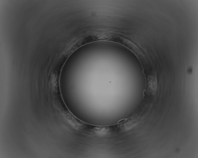 X0000091730667200708241414