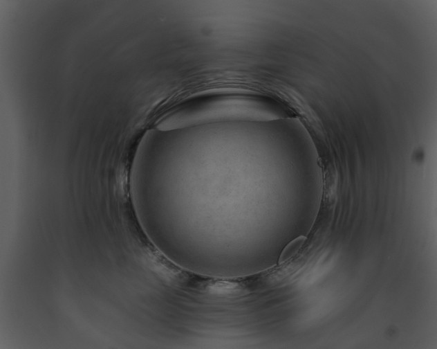 X0000091730669200708241414