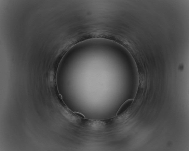 X0000091730670200708241414