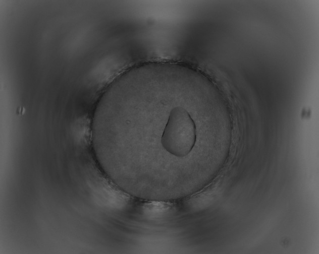 X0000091730672200708241414