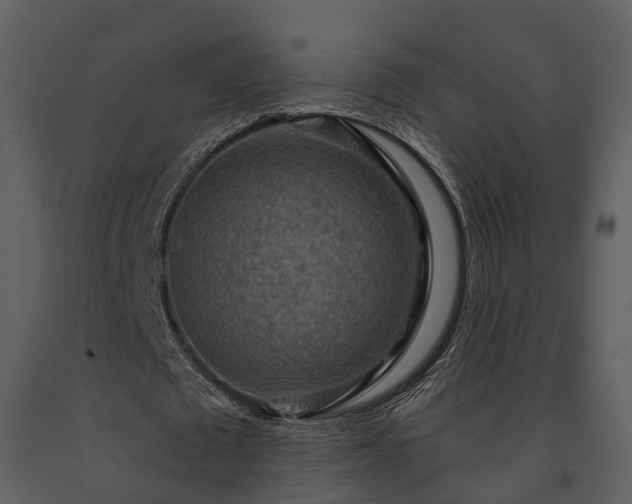 X0000091730673200708241413