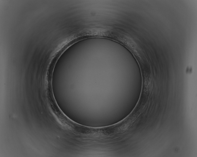 X0000091730674200708241413