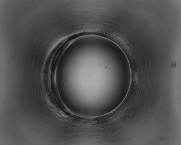 X0000091730676200708241413