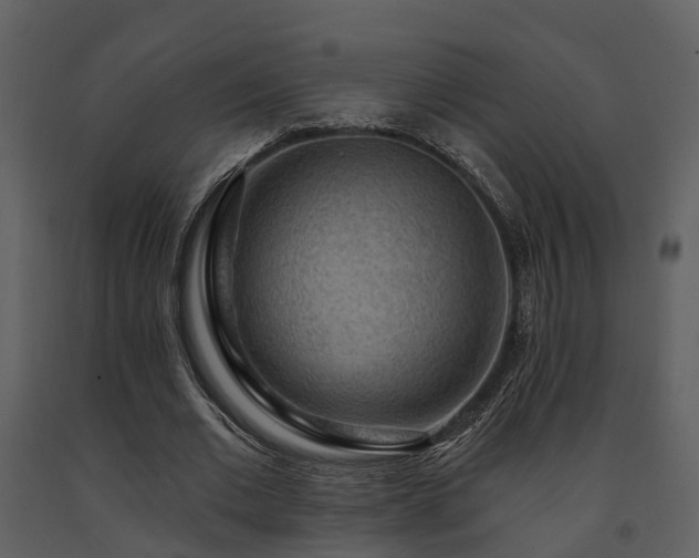 X0000091730677200708241413