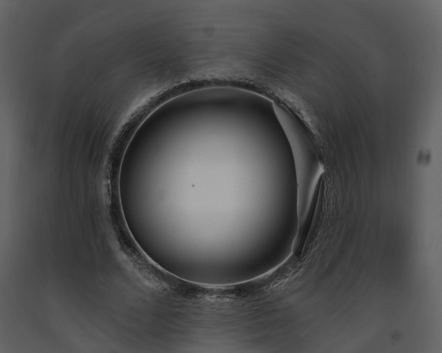 X0000091730680200708241413