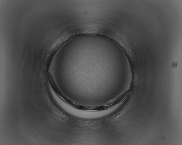 X0000091730681200708241413