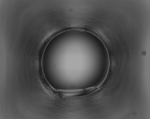 X0000091730684200708241413