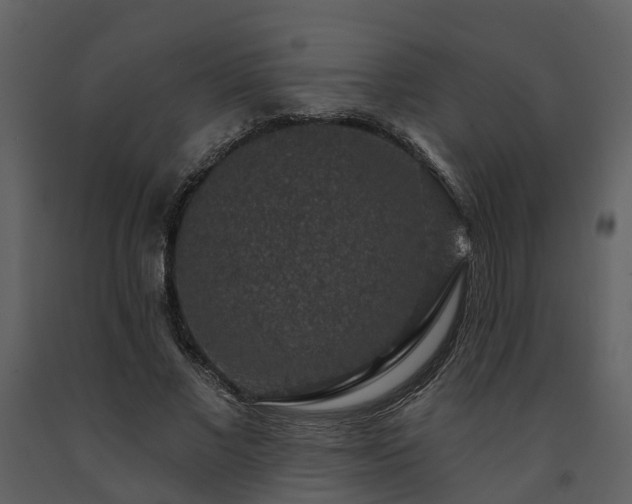 X0000091730685200708241413