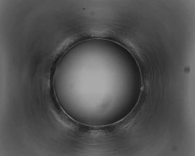 X0000091730686200708241413