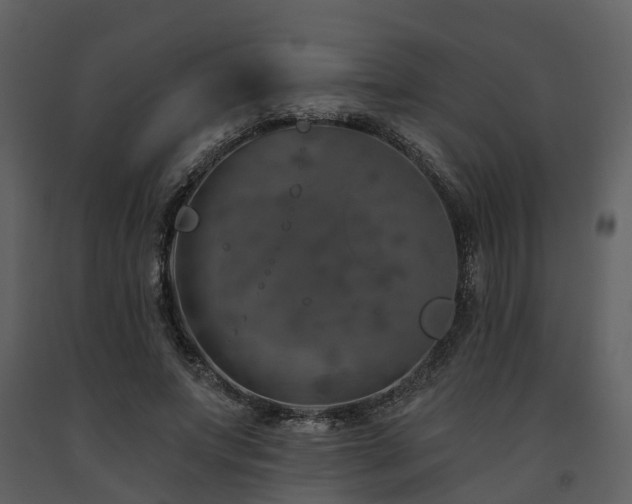 X0000091730687200708241413