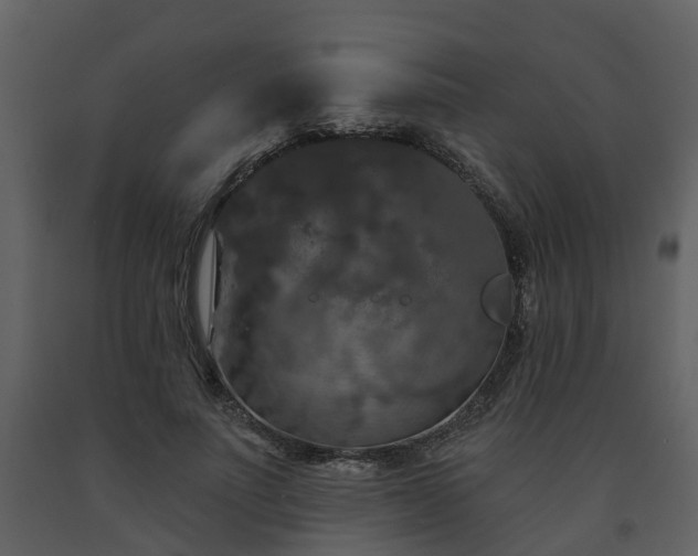 X0000091730691200708241413