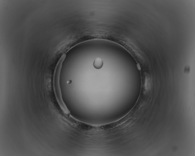 X0000091730696200708241413