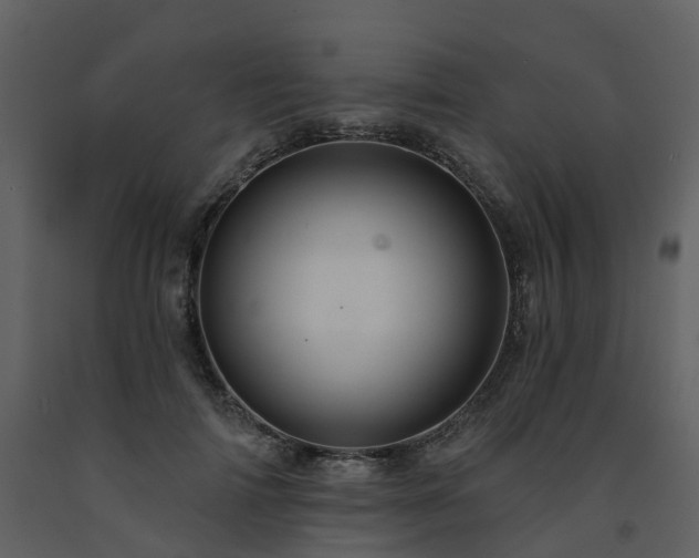 X0000091730698200708241413