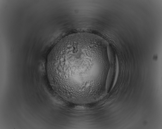 X0000091730699200708241413