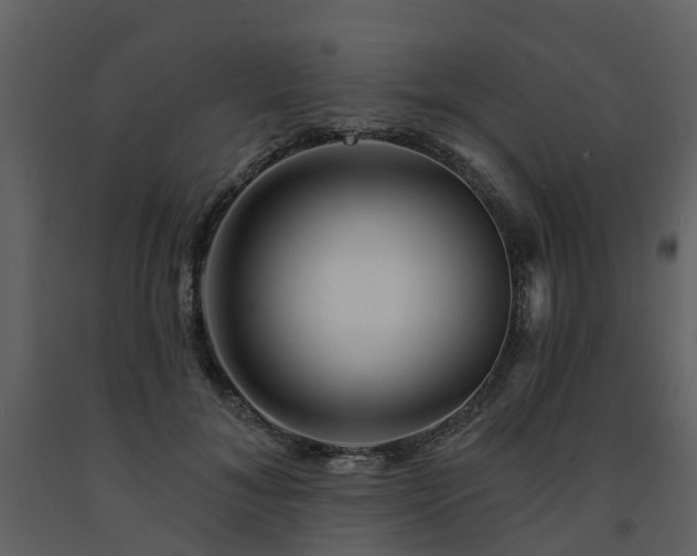 X0000091730700200708241413