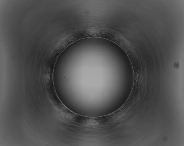 X0000091730702200708241413