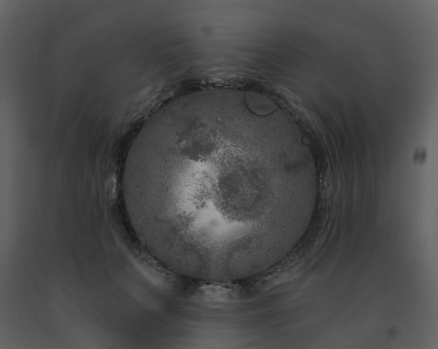 X0000091730703200708241413