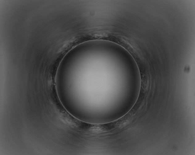 X0000091730704200708241413