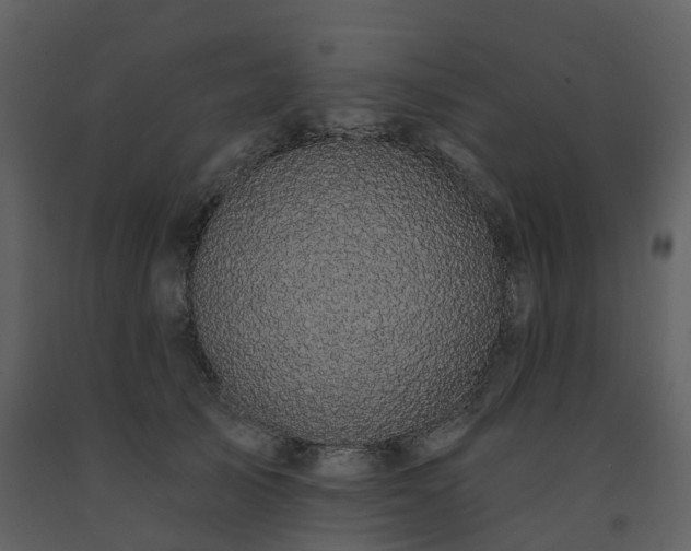X0000091730705200708241413