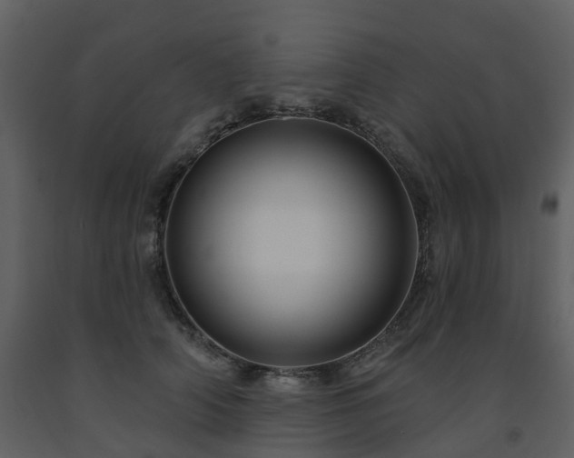 X0000091730706200708241413
