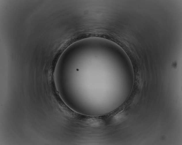 X0000091730708200708241413
