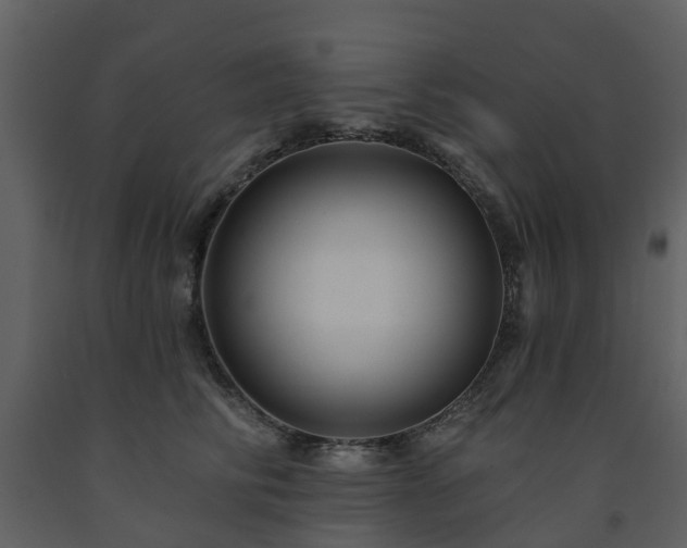 X0000091730710200708241413