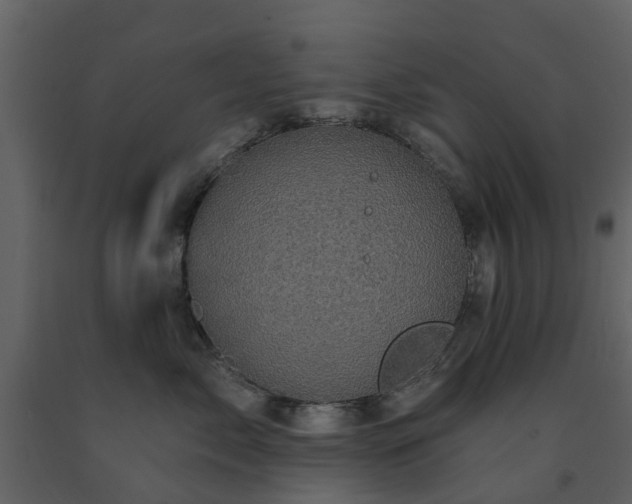 X0000091730717200708241413