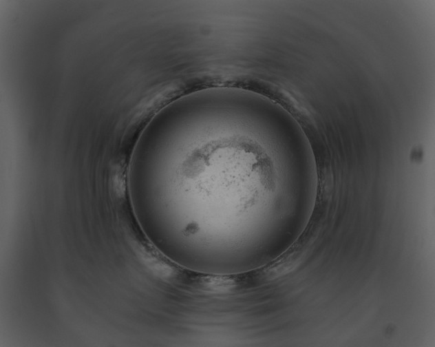 X0000091730719200708241413