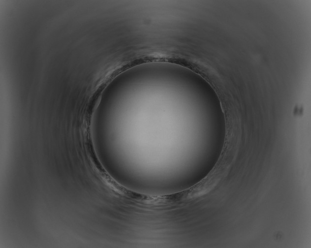 X0000091730720200708241413