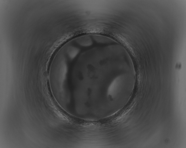 X0000091730721200708241412