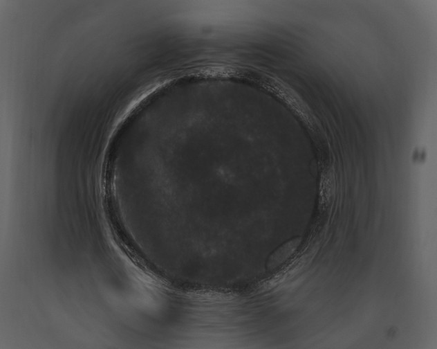X0000091730722200708241412