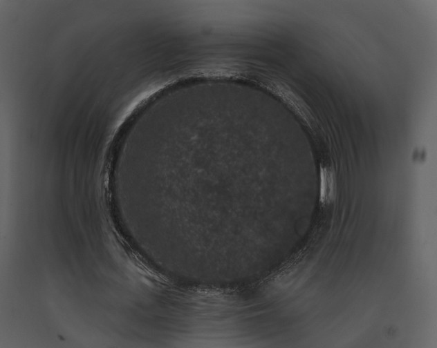 X0000091730723200708241412