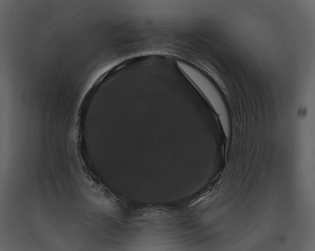 X0000091730724200708241412