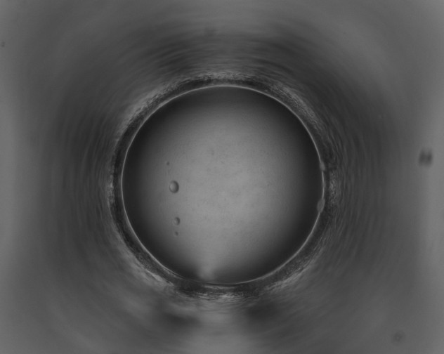 X0000091730725200708241412