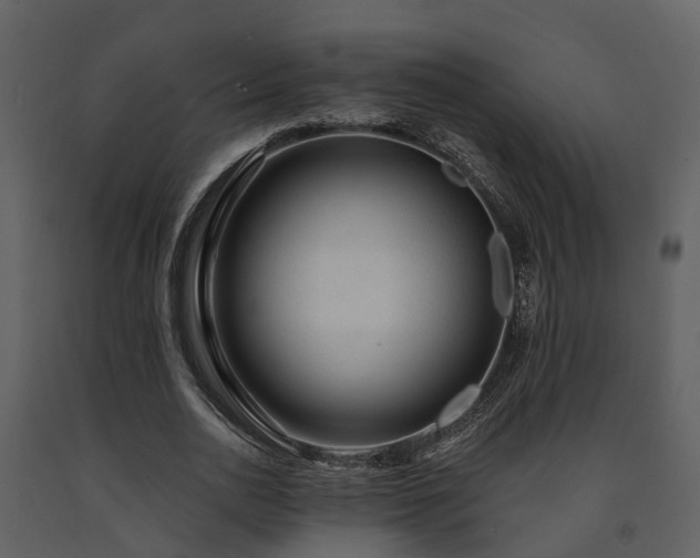X0000091730726200708241412