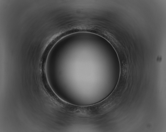 X0000091730727200708241412