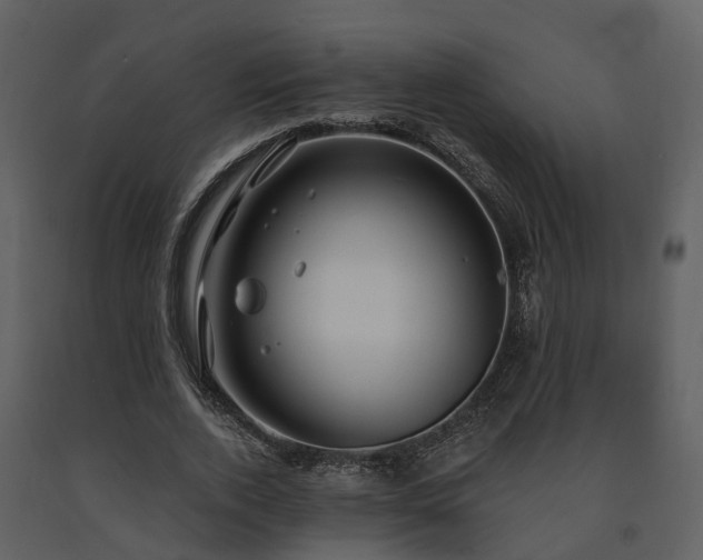 X0000091730728200708241412