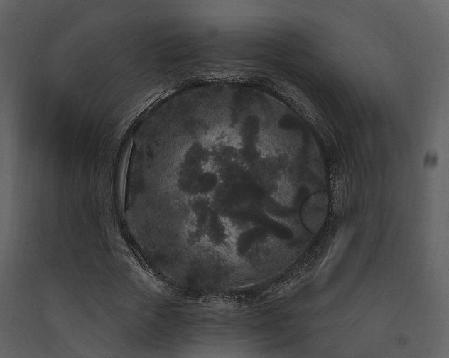 X0000091730729200708241412