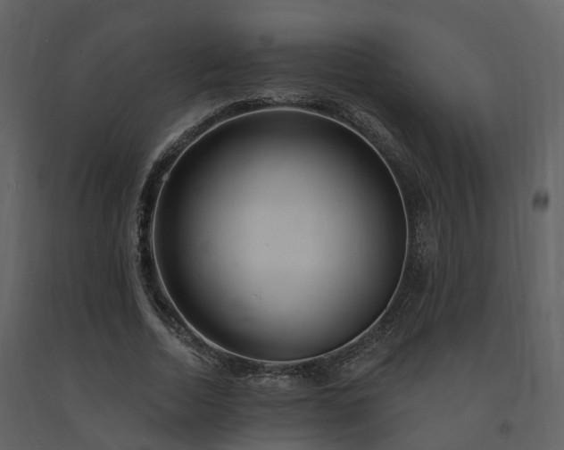 X0000091730730200708241412