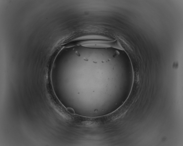 X0000091730733200708241412