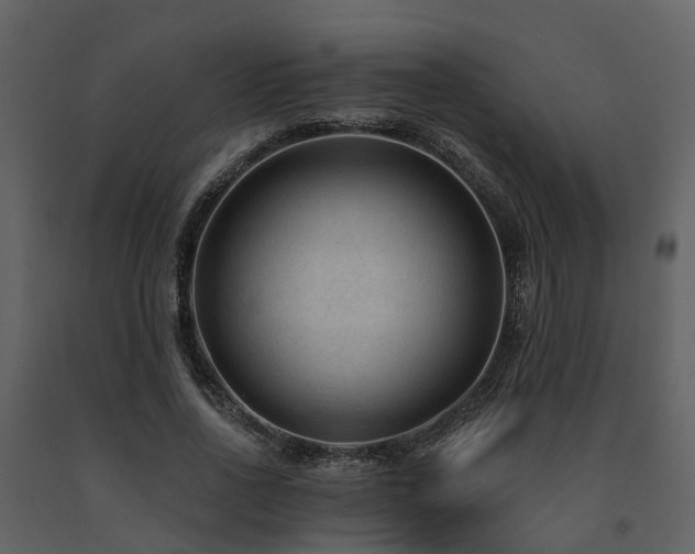 X0000091730734200708241412