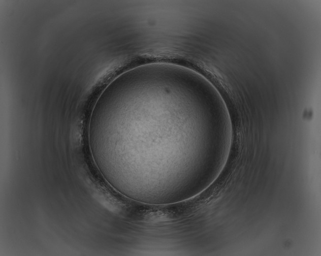 X0000091730735200708241412