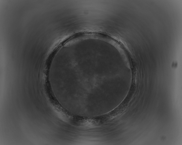 X0000091730736200708241412