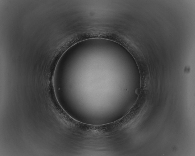 X0000091730737200708241412