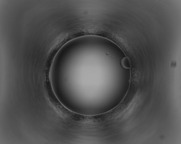X0000091730738200708241412