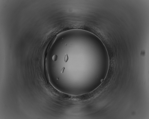 X0000091730741200708241412