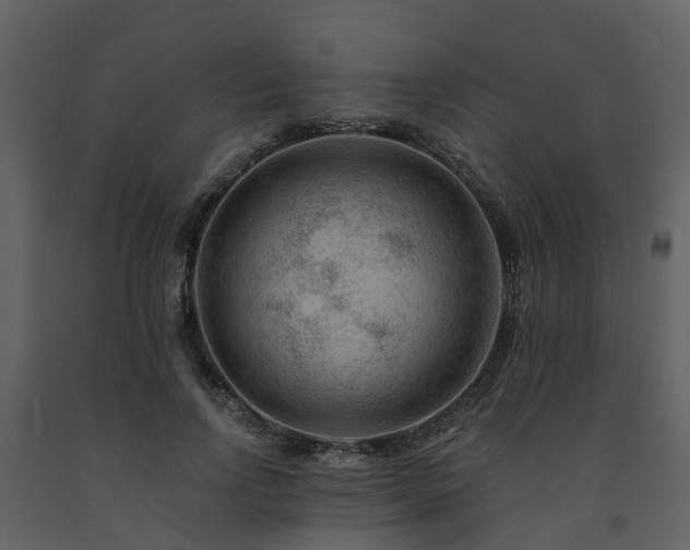 X0000091730742200708241412
