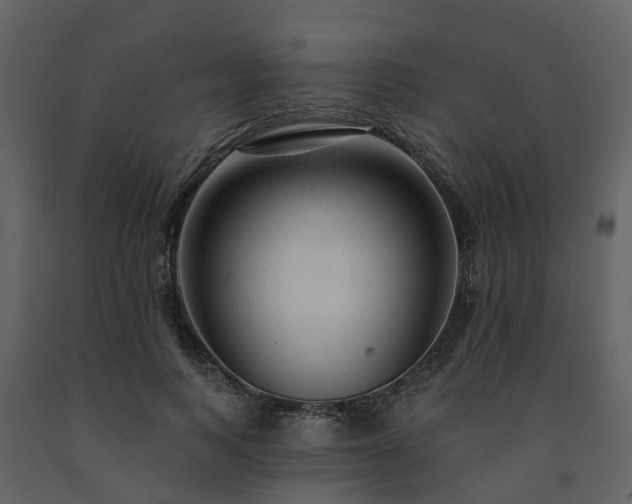 X0000091730743200708241412