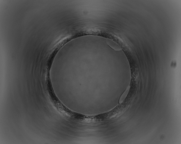 X0000091730744200708241412